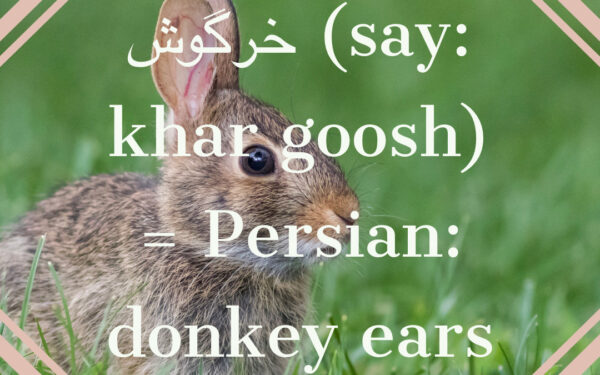 Image of a rabbit with Persian words