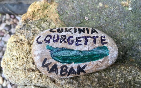 Plant label: courgette